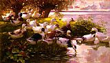 Alexander Koester Max Ducks On A Lake painting